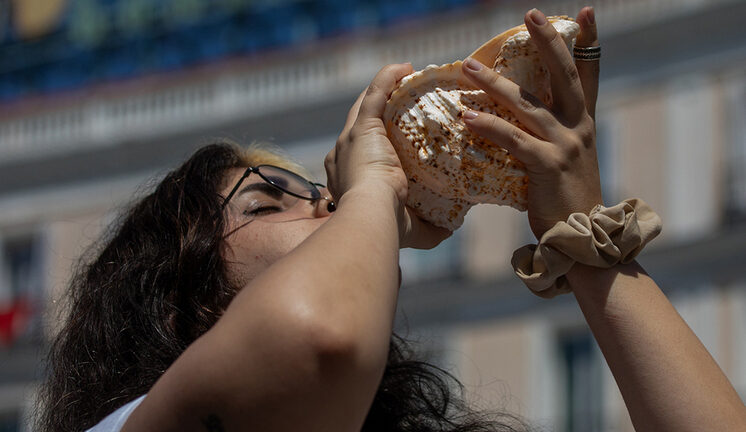 Найден один из древнейших известных музыкальных инструментов: звуки напоминают валторну