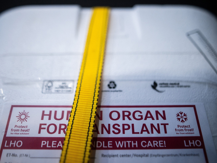 Медицинское чудо: женщина с пересаженной маткой родила ребёнка