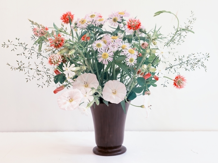 В России запатентовали джакузи с дистанционным управлением для цветов