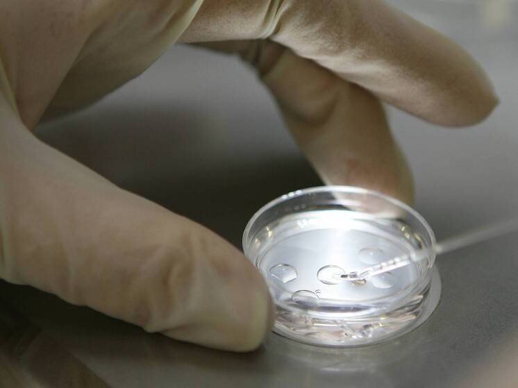 Генетический анализ опроверг официальную версию о происхождении Колумба