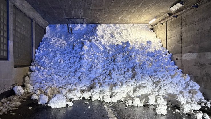 лавина швейцария поезд