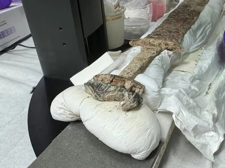 В Англии обнаружено богатое кладбище 6 века с артефактами из Скандинавии