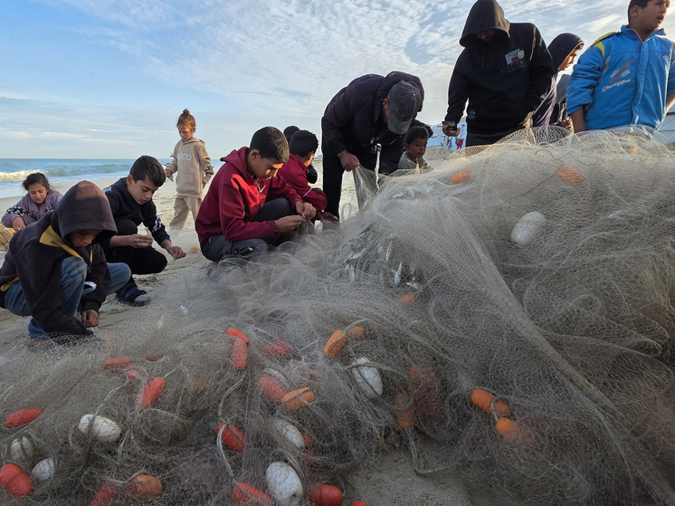 Потепление океана ведет к гибели морской флоры и фауны
