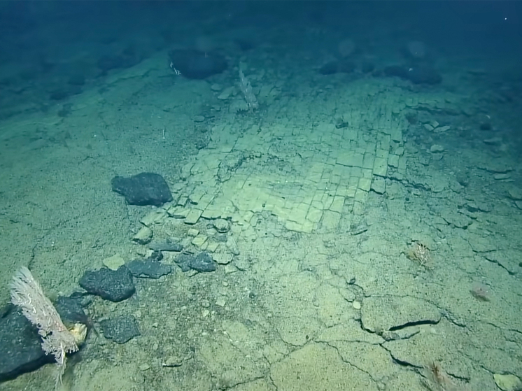 Ученые нашли на дне Тихого океана вымощенную желтым кирпичом дорогу